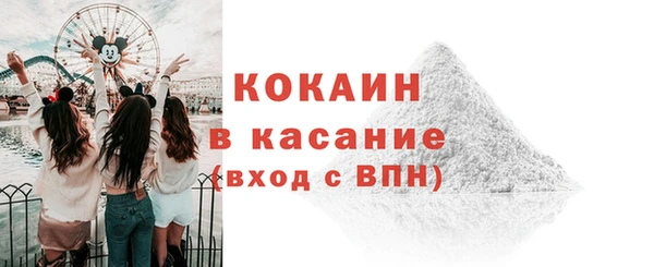 дживик Аркадак