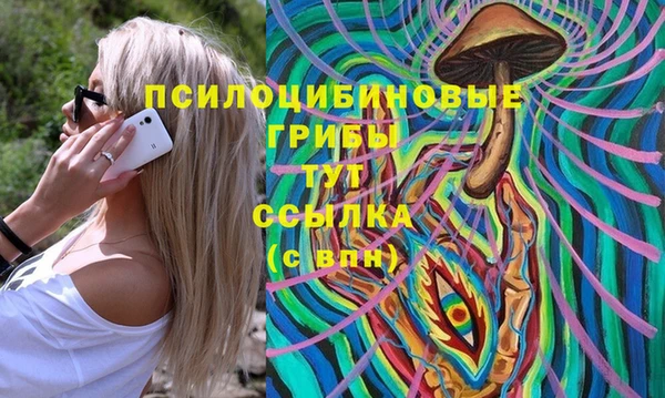дживик Аркадак
