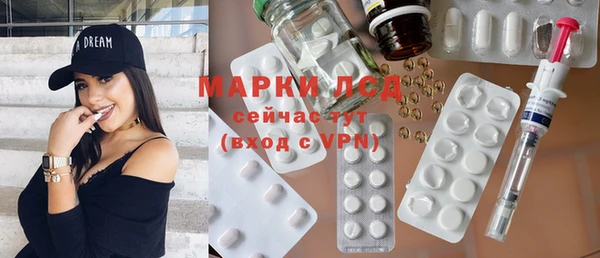 дживик Аркадак