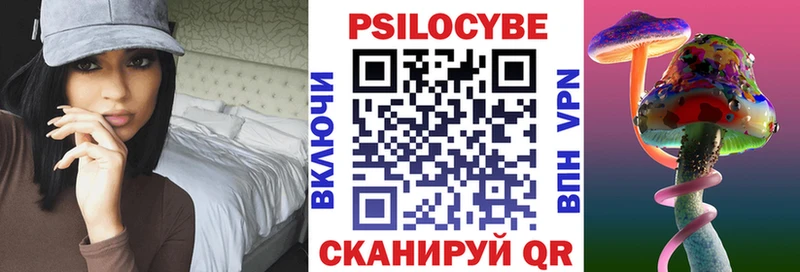 Галлюциногенные грибы Psilocybe  МЕГА ССЫЛКА  Сатка  закладки 